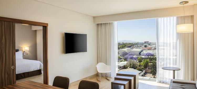 阿瓜斯卡连特斯露台菲斯塔旅馆(Fiesta Inn Aguascalientes Patio)图片