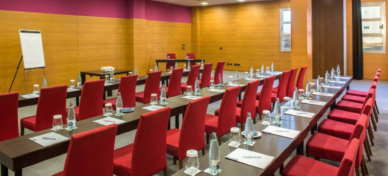 费尔南多二世国王欧元高级酒店(Eurostars Rey Fernando)图片