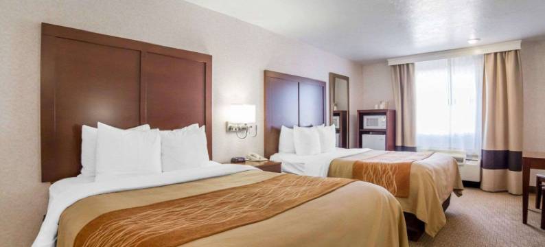 艾尔克舒适酒店(Comfort Inn Elko)图片