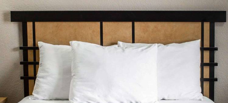 伊克诺旅馆及套房-科洛尼中心购物中心(Econo Lodge Inn & Suites Colonie Center Mall)图片