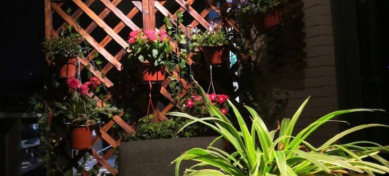 近会展万达灯光秀一线江景房公寓(江边洲路分店)图片