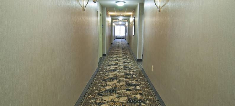 智选假日套房酒店杰克逊/珍珠国际机场(Holiday Inn Express & Suites JACKSON/PEARL INTL AIRPORT by IHG)图片