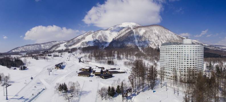 绿叶新雪谷精选酒店 希尔顿逸林酒店精选(The Green Leaf Niseko Village, Tapestry Collection by Hilton)图片