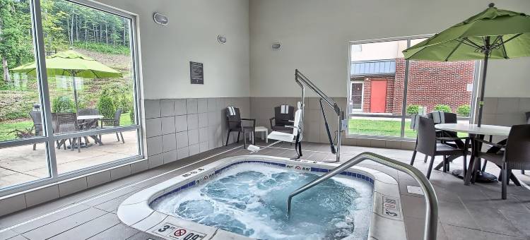 马利耶塔派克斯伯格市舒适套房酒店(Comfort Suites Marietta-Parkersburg)图片