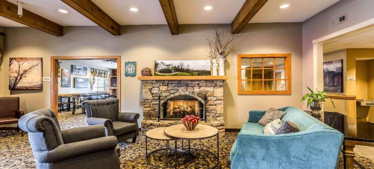 亨德森维尔平岩凯艺酒店(Quality Inn & Suites Hendersonville - Flat Rock)图片