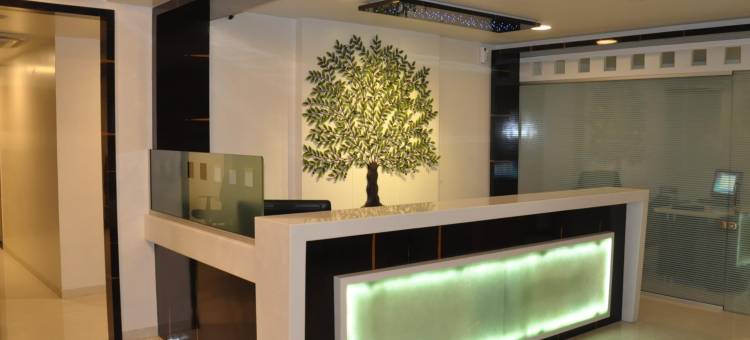 绿橄榄酒店(Hotel Green Olive)图片