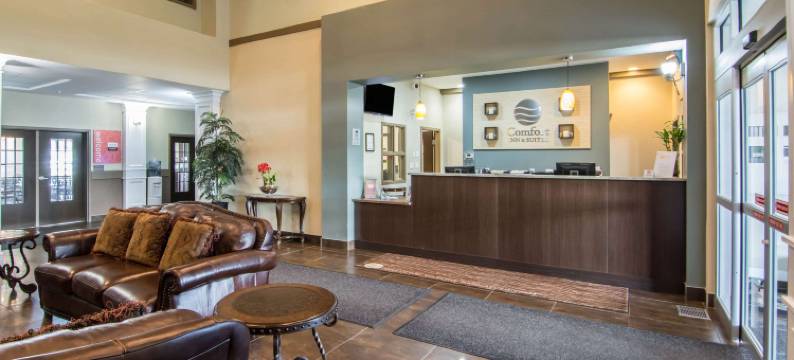 舒适套房酒店(Comfort Inn & Suites)图片