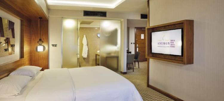 安卡拉海葵酒店(Anemon Kent Ankara Otel)图片