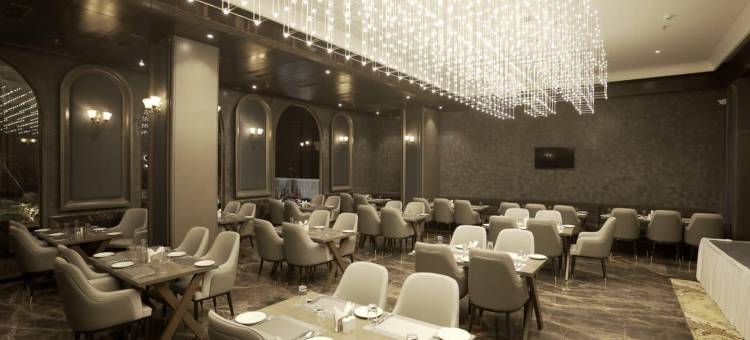 本迪阿南塔经典蓝宝石酒店(Classic Sapphire Ananta Bundi)图片