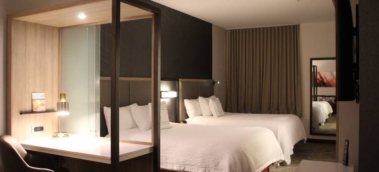 巴尔的摩白沼泽中河SpringHill Suites酒店(SpringHill Suites Baltimore White Marsh/Middle River)图片