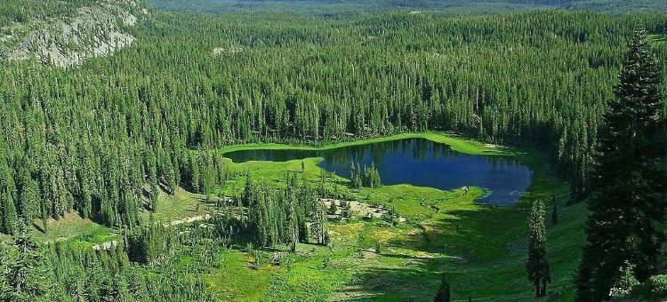 凉城景怡宾馆图片