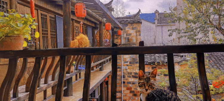 宏村舍得园客栈(宏村景区店)图片