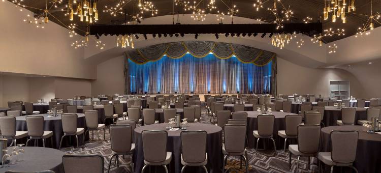 圣路易斯皇家索尼斯塔蔡斯公园广场酒店(The Royal Sonesta Chase Park Plaza St Louis)图片