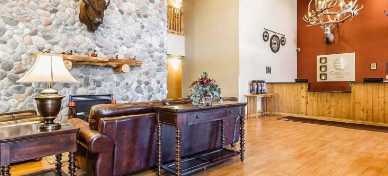 瓦通纳近医学中心舒适酒店(Comfort Inn Owatonna Near Medical Center)图片