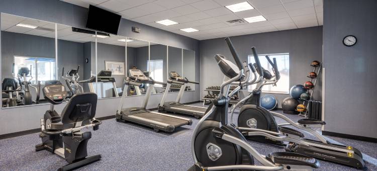 爱德华兹维尔智选假日套房酒店(Holiday Inn Express & Suites Edwardsville)图片