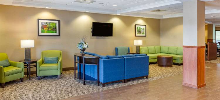 阿米什乡村舒适套房酒店(Comfort Suites Lancaster Amish Country)图片