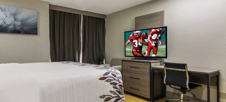 芝加哥-北奥罗拉内珀维尔霍姆汤公寓及会议中心(Red Roof Inn & Conference Center Chicago – N Aurora/ Naperville)图片