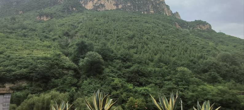 五福居民宿图片