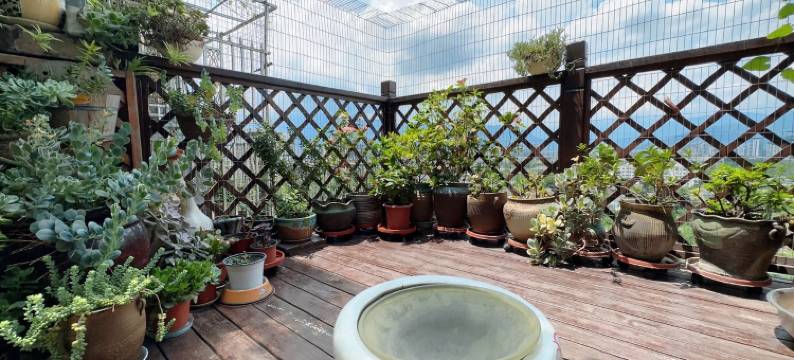 鱼的garden民宿(走马河西路下段分店)图片