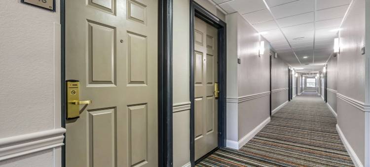 坦帕机场北丽怡酒店(Country Inn & Suites by Radisson, Tampa Airport North, FL)图片