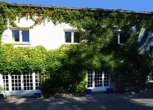 Les Neuf Bouleaux(Les Neuf Bouleaux)图片