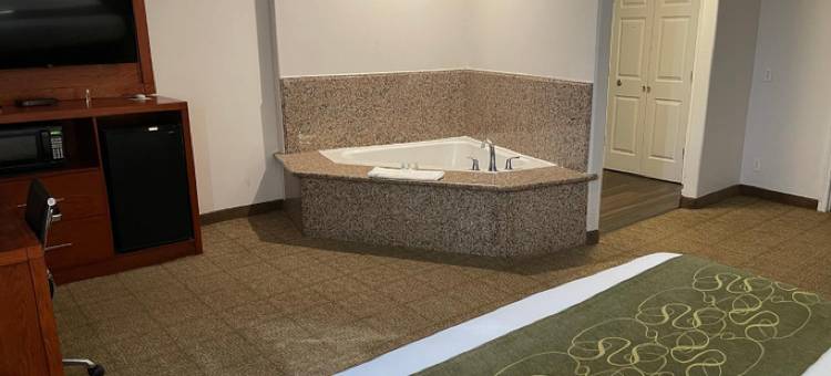 查尔斯湖舒适套房酒店(Comfort Suites Lake Charles)图片