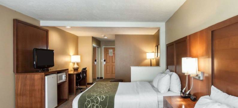 机场舒适套房酒店(Comfort Suites Airport)图片