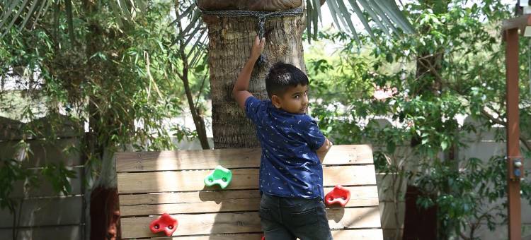The Fern 萨桑格里吉尔森林度假村，Series by Marriott(The Fern Gir Forest Resort Sasan Gir, Series by Marriott)图片
