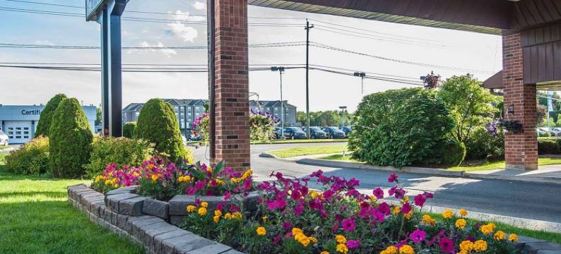 舒适酒店(Comfort Inn)图片