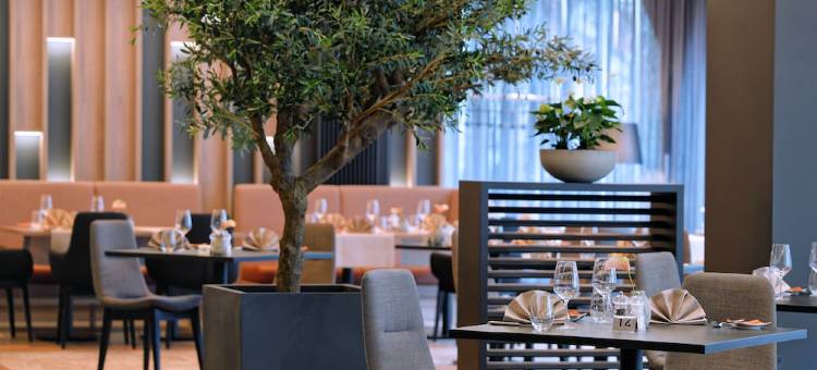 汉诺威希尔顿逸林酒店瑞士宫(DoubleTree by Hilton Hannover Schweizerhof)图片