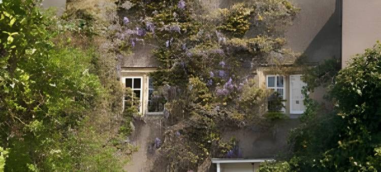 康普敦之家旅馆(Compton House)图片