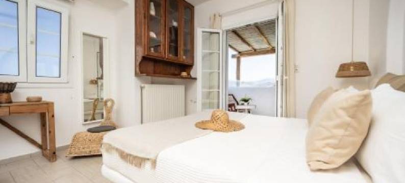 Thea套房纳克索斯(Thea Suites Naxos)图片