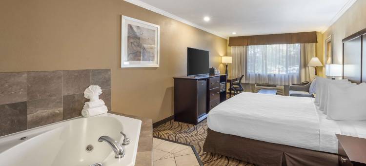 兰花贝斯特韦斯特优质套房酒店(Best Western Plus Orchid Hotel  Suites)图片