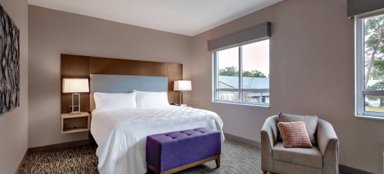 塔拉哈西E国会大厦假日酒店(Holiday Inn Tallahassee E Capitol - Univ)图片