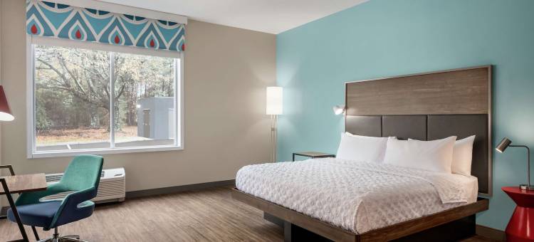 格林维尔伍德拉夫路希尔顿Tru酒店(Tru by Hilton Greenville Woodruff Road)图片