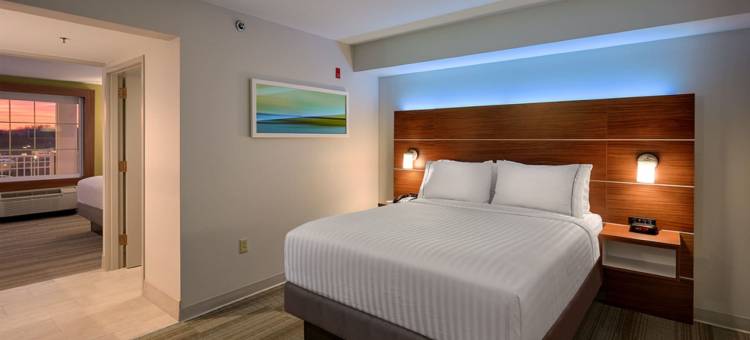 洲际酒店集团智选假日套房鸽子谷塞维尔维尔(Holiday Inn Express & Suites Pigeon Forge - Sevierville)图片