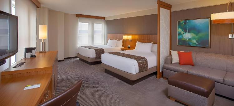 新奥尔良会议中心凯悦嘉轩酒店(Hyatt Place New Orleans Convention Center)图片