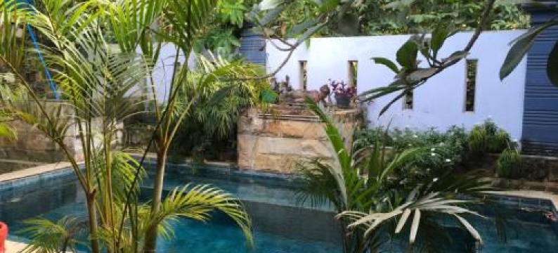 Jessies beach house图片