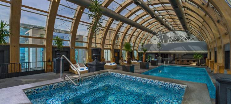 圣地亚哥丽思卡尔顿酒店(The Ritz-Carlton, Santiago)图片