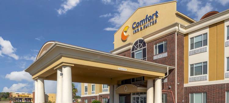 梅希亚舒适酒店(Comfort Inn & Suites Mexia)图片