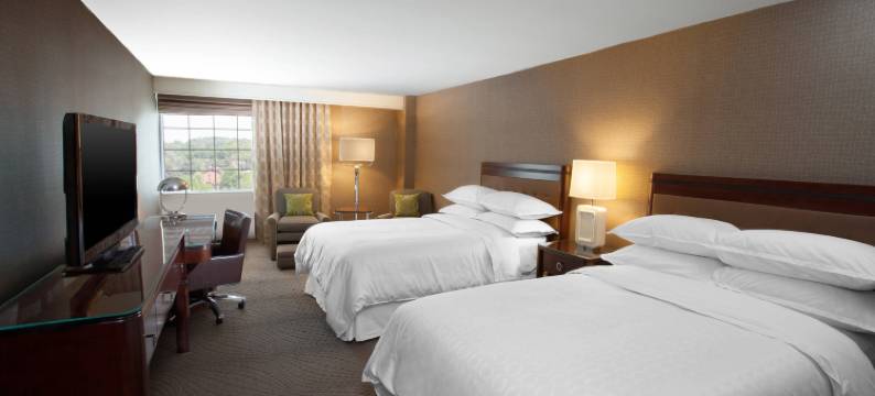 匹兹堡机场喜来登酒店(Sheraton Pittsburgh Airport Hotel)图片