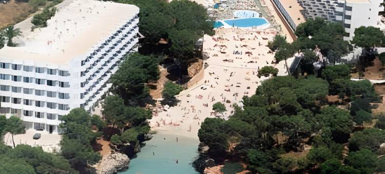 AluaSoul Mallorca Resort - Adults Only图片