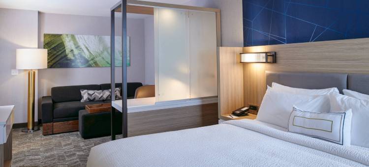 底特律威克森万豪SpringHill Suites酒店(SpringHill Suites by Marriott Wixom Novi)图片