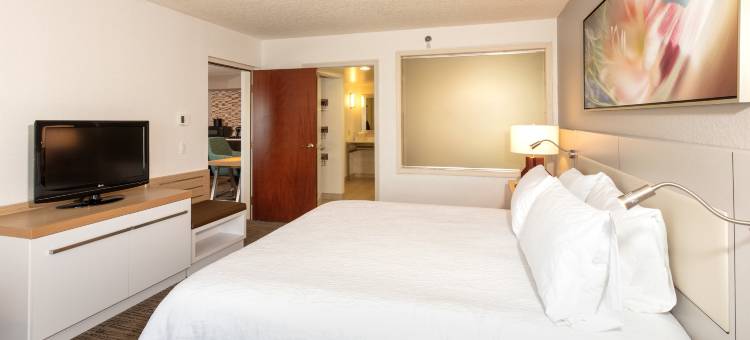 代托纳比奇机场希尔顿花园旅馆(Hilton Garden Inn Daytona Beach-Airport)图片