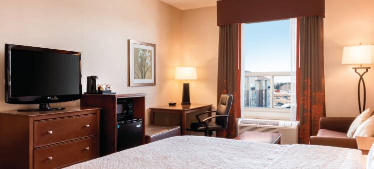 希尔顿欢朋酒店-南埃德蒙顿南部(Hampton Inn by Hilton Edmonton/South)图片