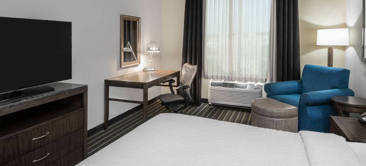 圣安东尼奥/瑞姆帕斯得里弗希尔顿花园酒店(Hilton Garden Inn San Antonio/Rim Pass Drive)图片