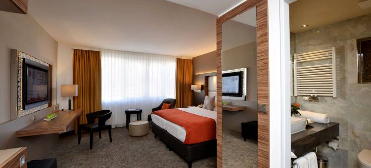 黛尔塔公园贝斯特韦斯特优质酒店(Best Western Plus Delta Park Hotel)图片