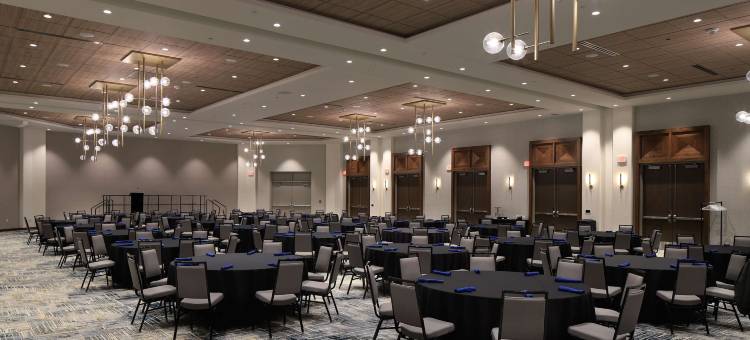 麦坎姆利广场酒店(DoubleTree by Hilton Battle Creek)图片