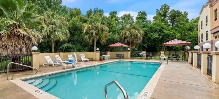 代弗尼- 移动东湾舒适套房酒店(Comfort Suites Mobile East Bay)图片