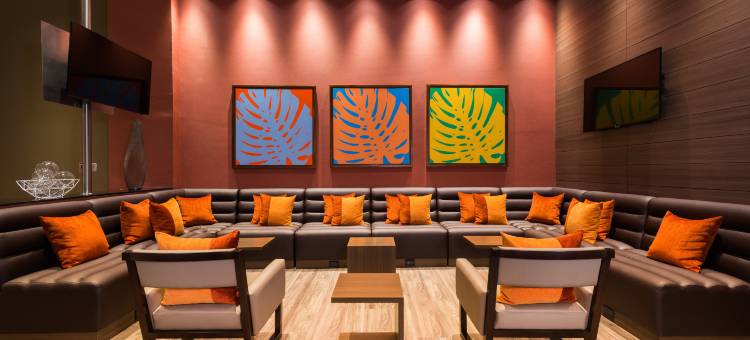 波哥大乌萨肯希尔顿欢朋酒店(Hampton Inn by Hilton Bogota Usaquen)图片